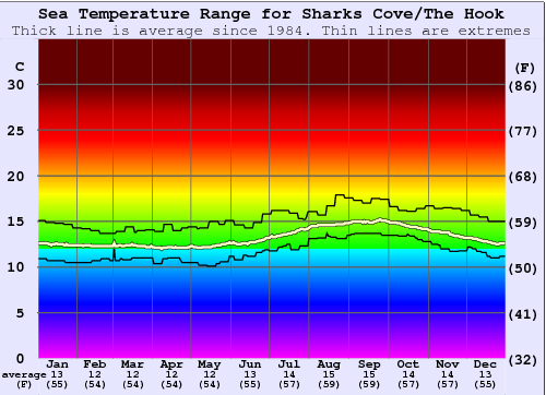Sharks Cove/The Hook Temperatura del mare Grafico