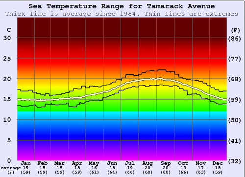 Tamarack Avenue Temperatura del mare Grafico