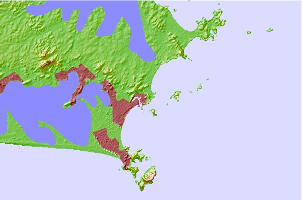 Località Surf più vicine Praia Brava