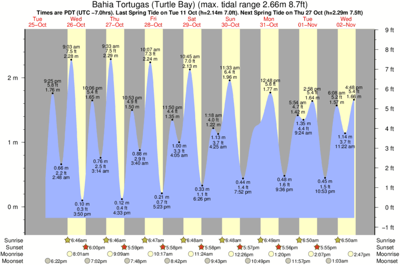 tide graph for Bahia Tortugas (Turtle Bay) surf break