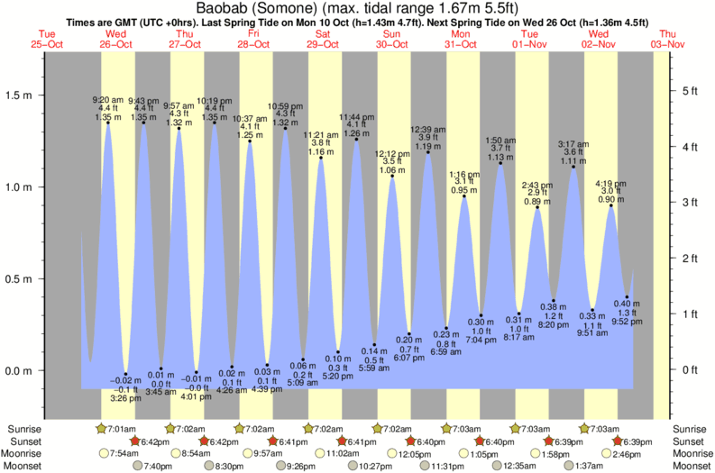 tide graph for Baobab (Somone) surf break