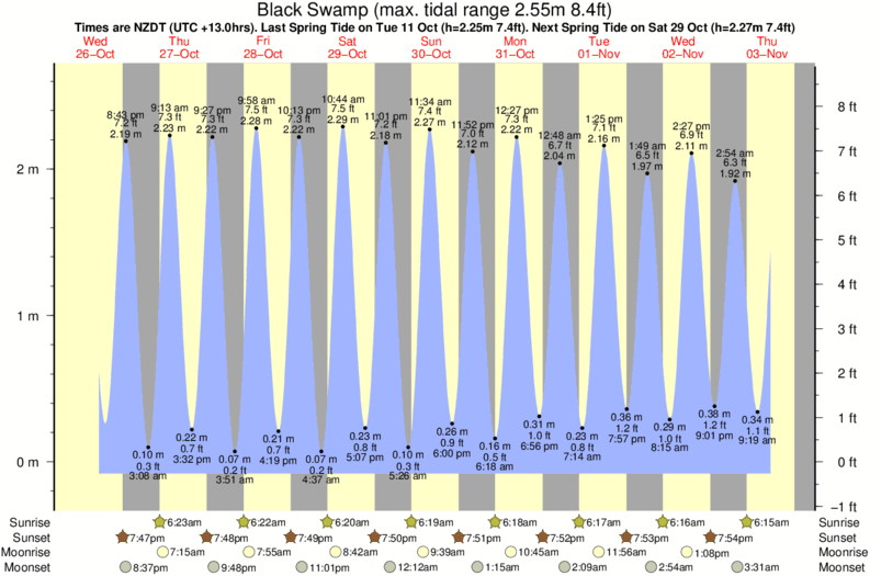 tide graph for Black Swamp surf break