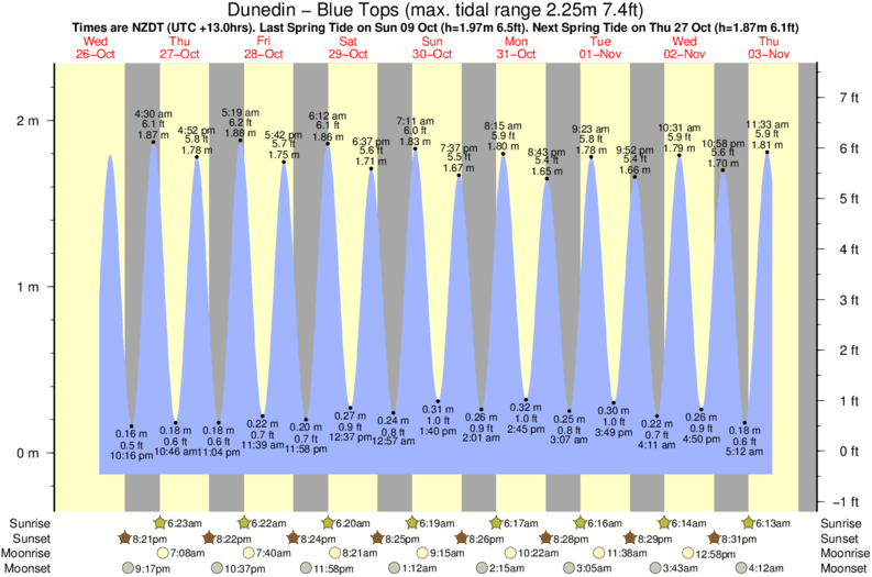 diagramma di marea per Dunedin - Blue Tops vicino Dunedin - Ocean View surf break