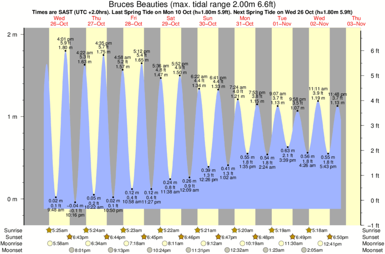 tide graph for Bruces Beauties surf break