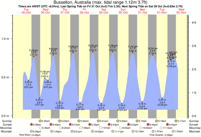 diagramma di marea per The Quarries vicino The Quarries surf break