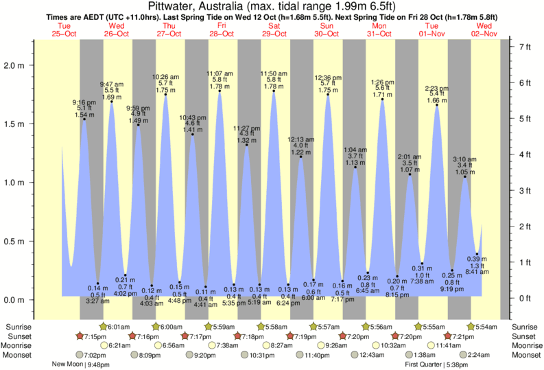 diagramma di marea per The Wedge vicino The Wedge surf break