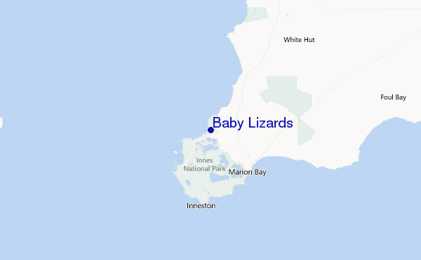 Baby Lizards Location Map