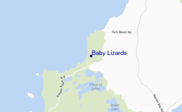 mappa di localizzazione di Baby Lizards