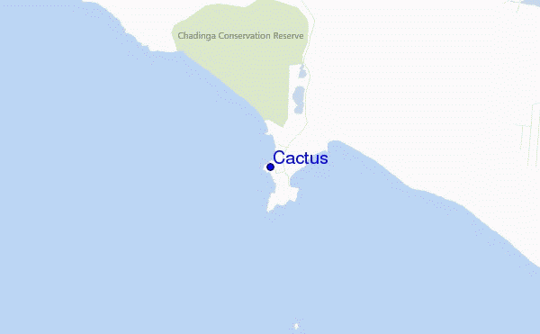 mappa di localizzazione di Cactus