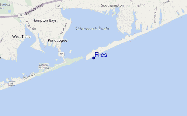mappa di localizzazione di Flies