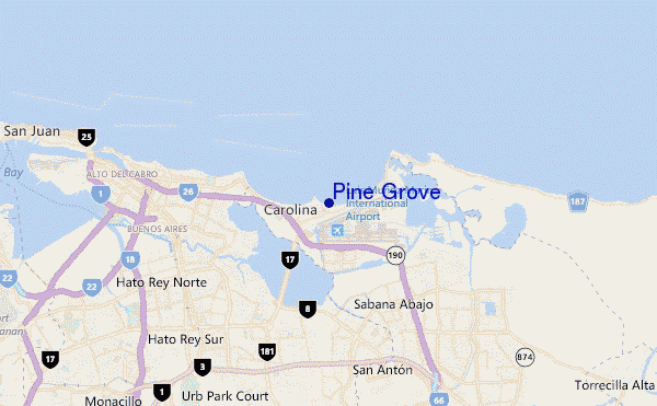 mappa di localizzazione di Pine Grove