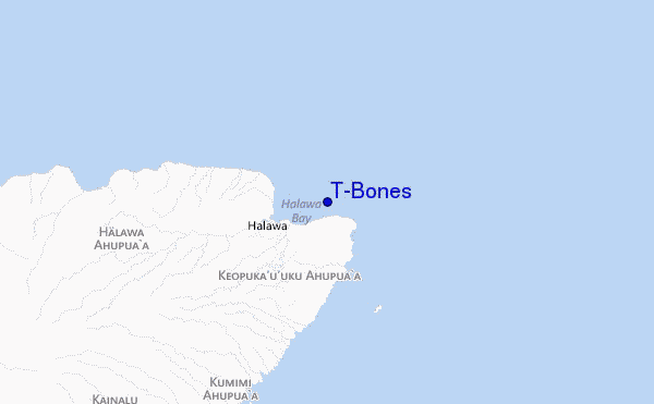 mappa di localizzazione di T-Bones