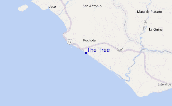 mappa di localizzazione di The Tree