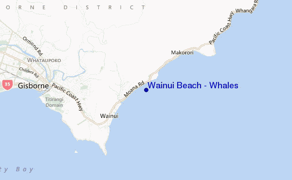mappa di localizzazione di Wainui Beach - Whales