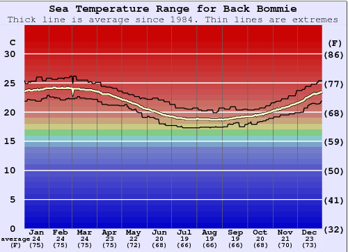 Back Bommie Grafico della temperatura del mare