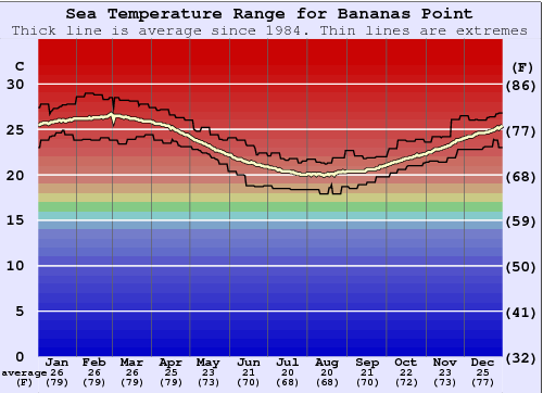 Bananas Point Grafico della temperatura del mare