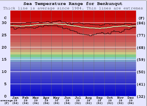 Benkunqut Grafico della temperatura del mare