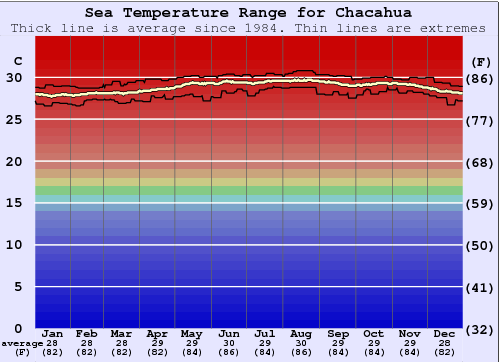 Chacahua Grafico della temperatura del mare