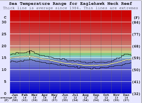 Eaglehawk Neck Reef Grafico della temperatura del mare