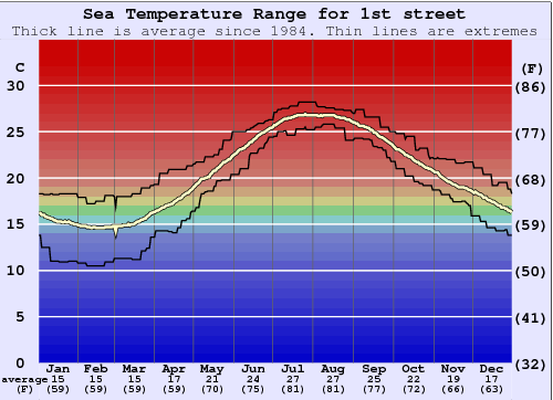 1st street Grafico della temperatura del mare