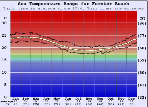 Forster Beach Grafico della temperatura del mare