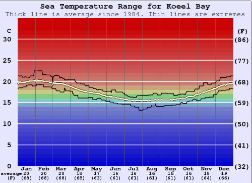 Koeel Bay Grafico della temperatura del mare