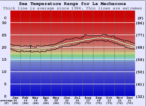 La Machacona Grafico della temperatura del mare