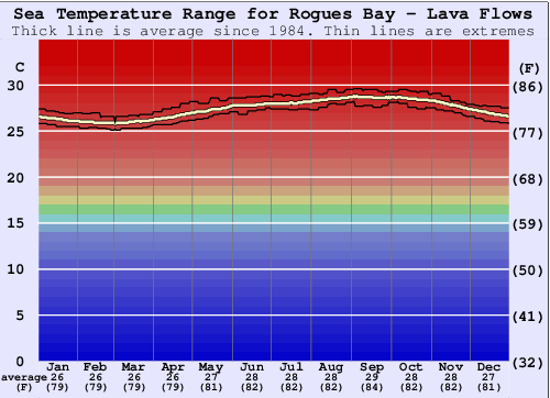 Rogues Bay - Lava Flows Grafico della temperatura del mare