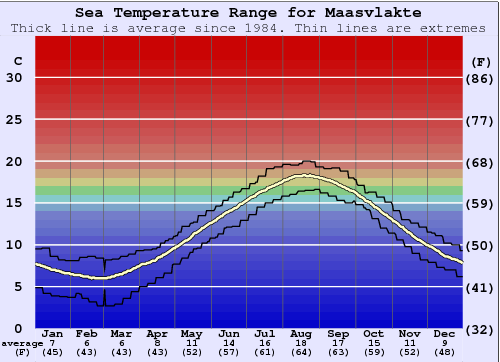 Maasvlakte Grafico della temperatura del mare