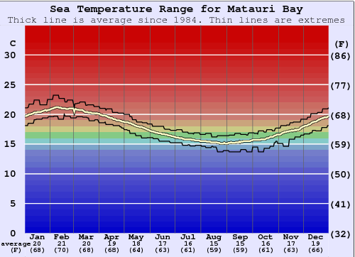 Matauri Bay Grafico della temperatura del mare