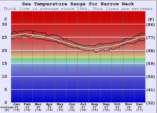 Narrow Neck Grafico della temperatura del mare