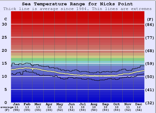 Nicks Point Grafico della temperatura del mare