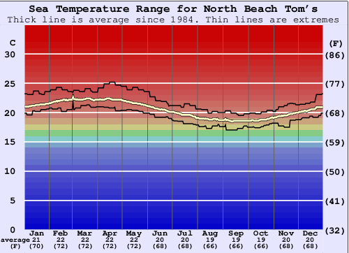 North Beach Tom's Grafico della temperatura del mare