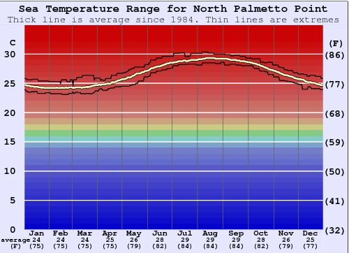 North Palmetto Point Grafico della temperatura del mare