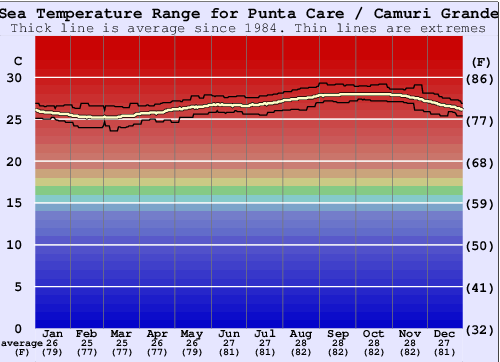 Punta Care / Camuri Grande Grafico della temperatura del mare