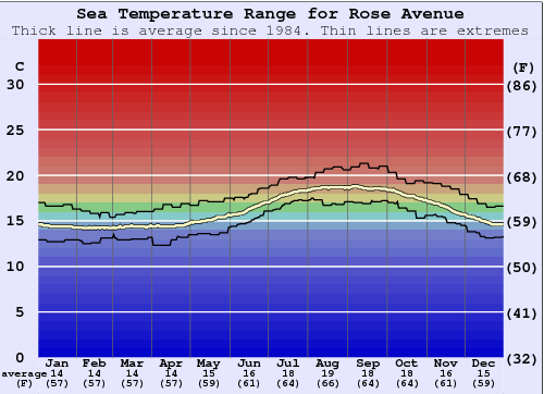 Rose Avenue Grafico della temperatura del mare
