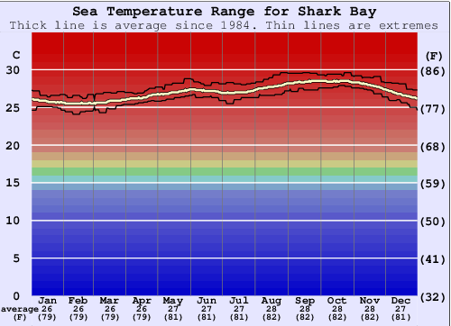 Shark Bay Grafico della temperatura del mare