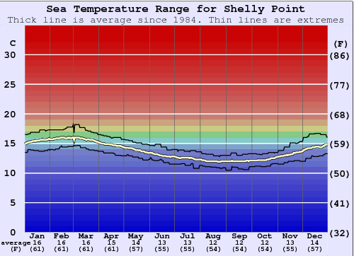 Shelly Point Grafico della temperatura del mare