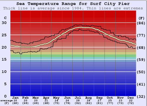 Surf City Pier Grafico della temperatura del mare