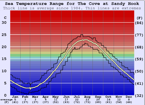 The Cove at Sandy Hook Grafico della temperatura del mare