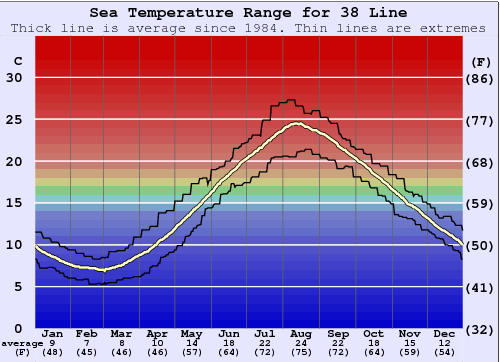 38 Line Grafico della temperatura del mare