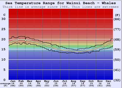 Wainui Beach - Whales Grafico della temperatura del mare
