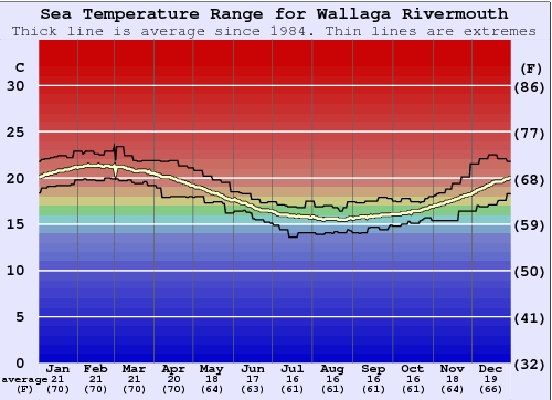 Wallaga Rivermouth Grafico della temperatura del mare