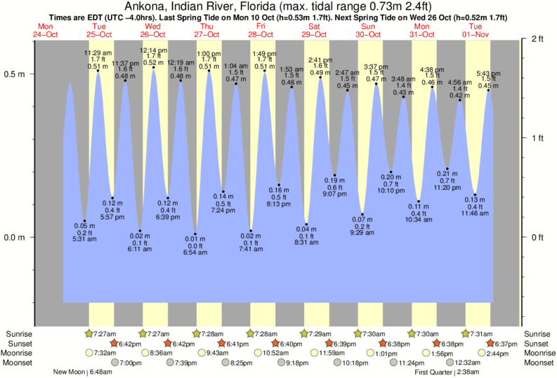 diagramma di marea per Ankona, Indian River, Florida vicino Walton Rocks (Power Plant) surf break