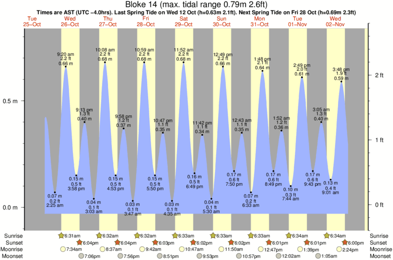 diagramma di marea per Bloke 14 vicino Playa del Macao surf break