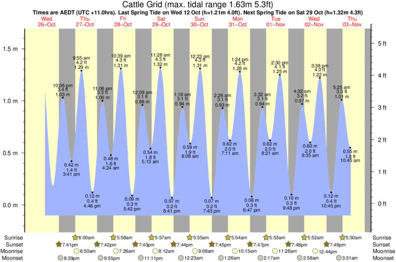 tide graph for Cattle Grid surf break