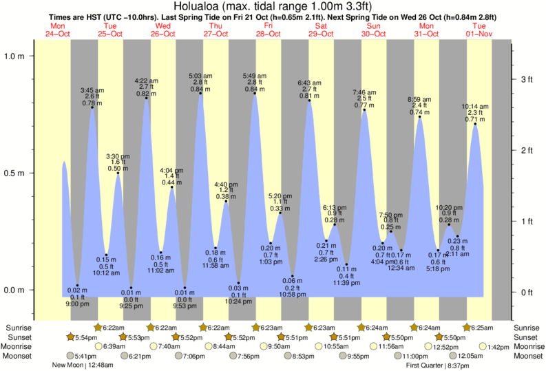 diagramma di marea per Holualoa vicino Disappearing Sands surf break