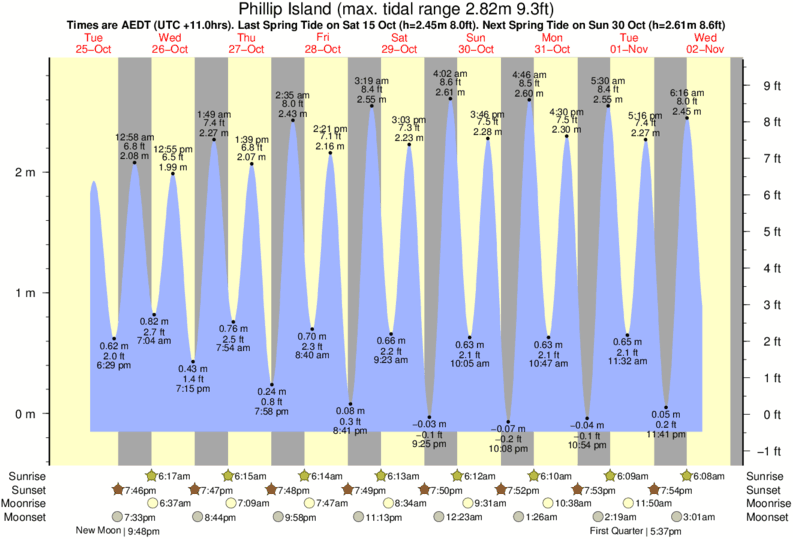 diagramma di marea per vicino Summerland Bay surf break