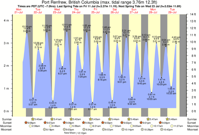 diagramma di marea per vicino Port Renfrew surf break