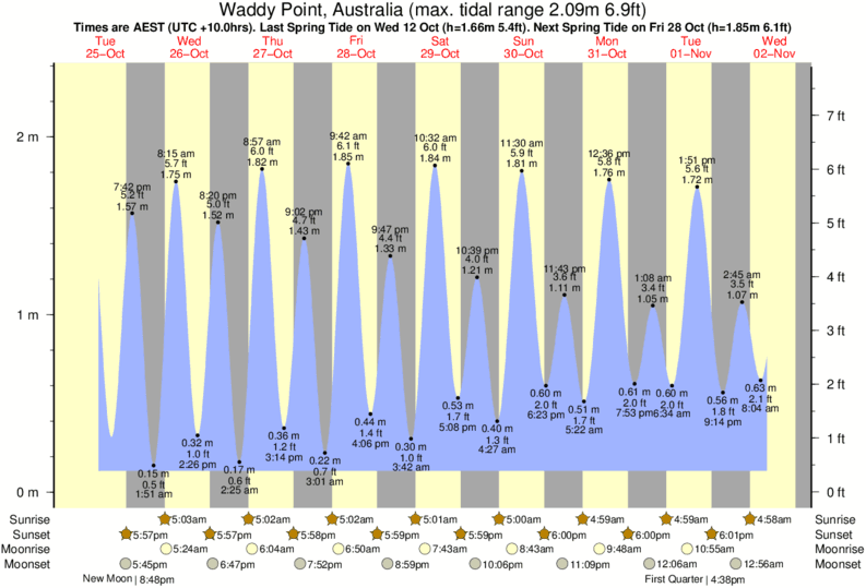 tide graph for Fraser Island - Waddy Point surf break